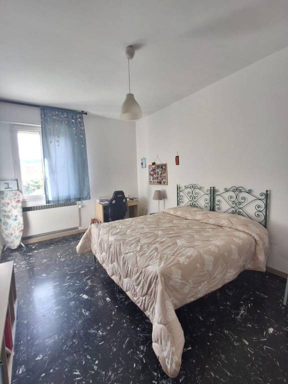 Immagine 1 Annuncio 193027481