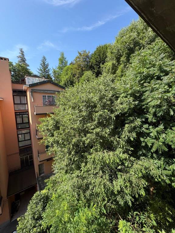 Immagine 42 Annuncio 193088503
