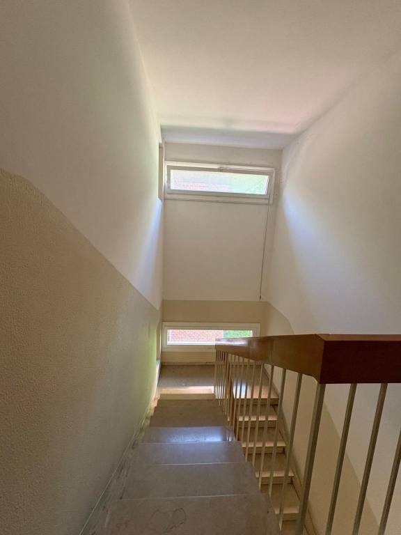 Immagine 44 Annuncio 193088503