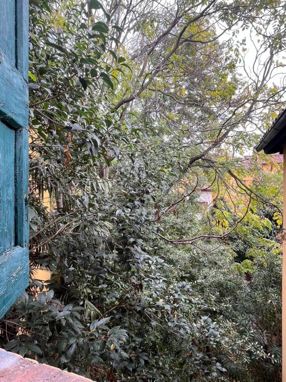 Immagine Annuncio 193328912