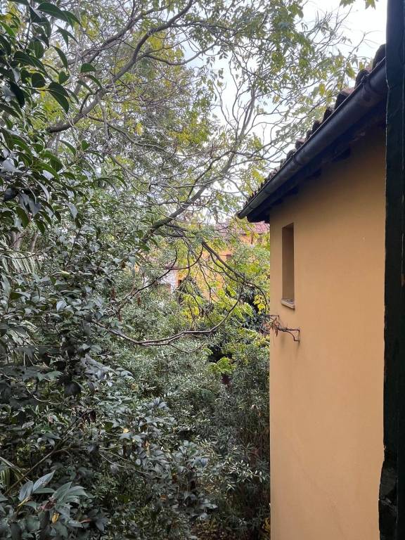 Immagine 1 Annuncio 193328912