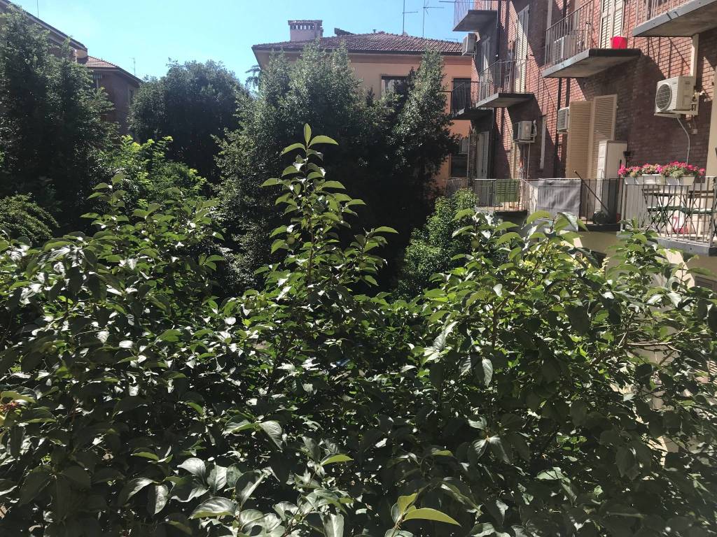 Immagine 7 Annuncio 193356231