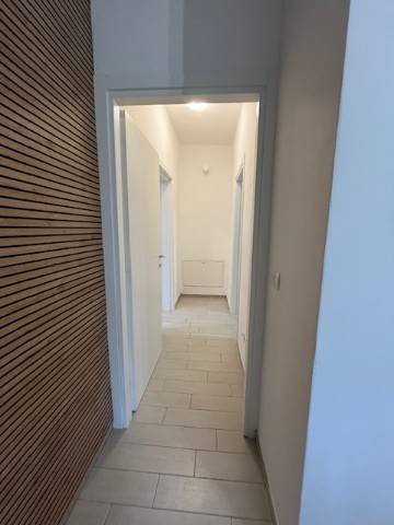 Immagine 6 Annuncio 193576109