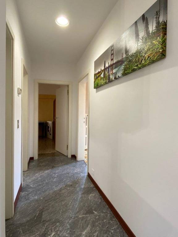 Immagine 6 Annuncio 193619471