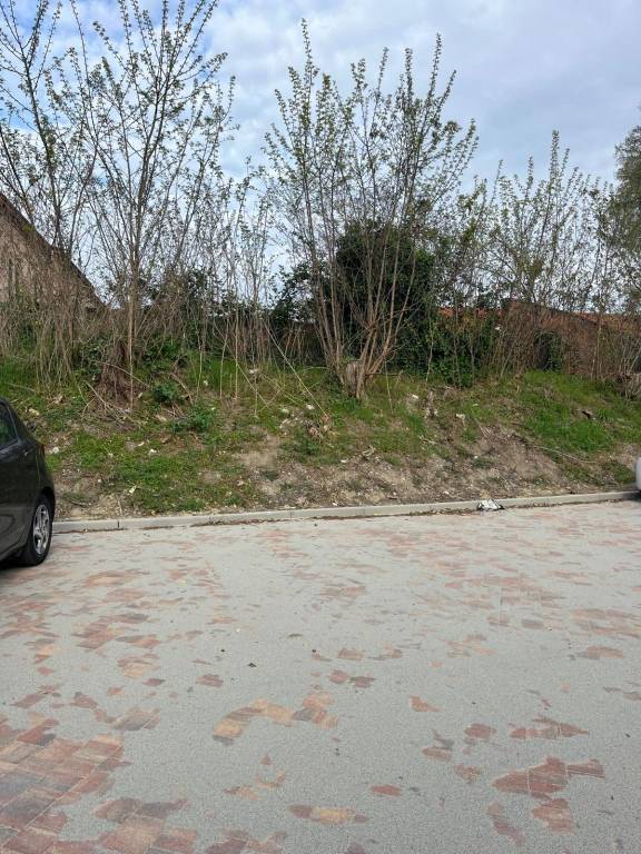 Immagine 1 Annuncio 193651358
