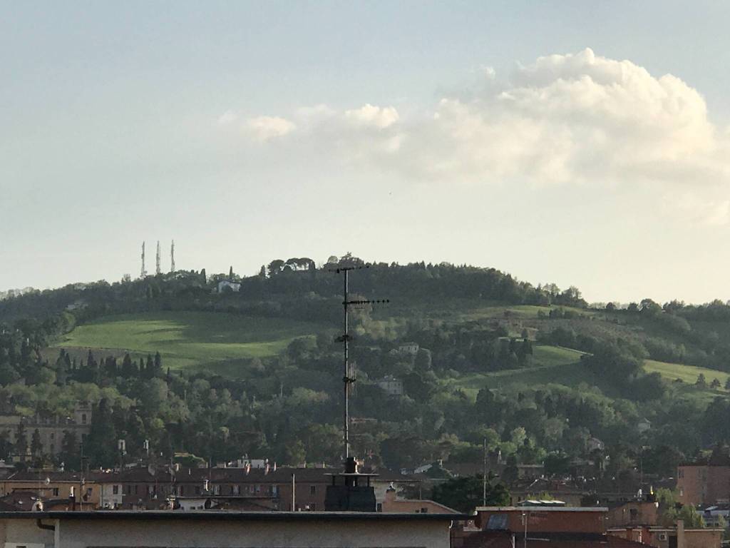 Immagine 6 Annuncio 193656102