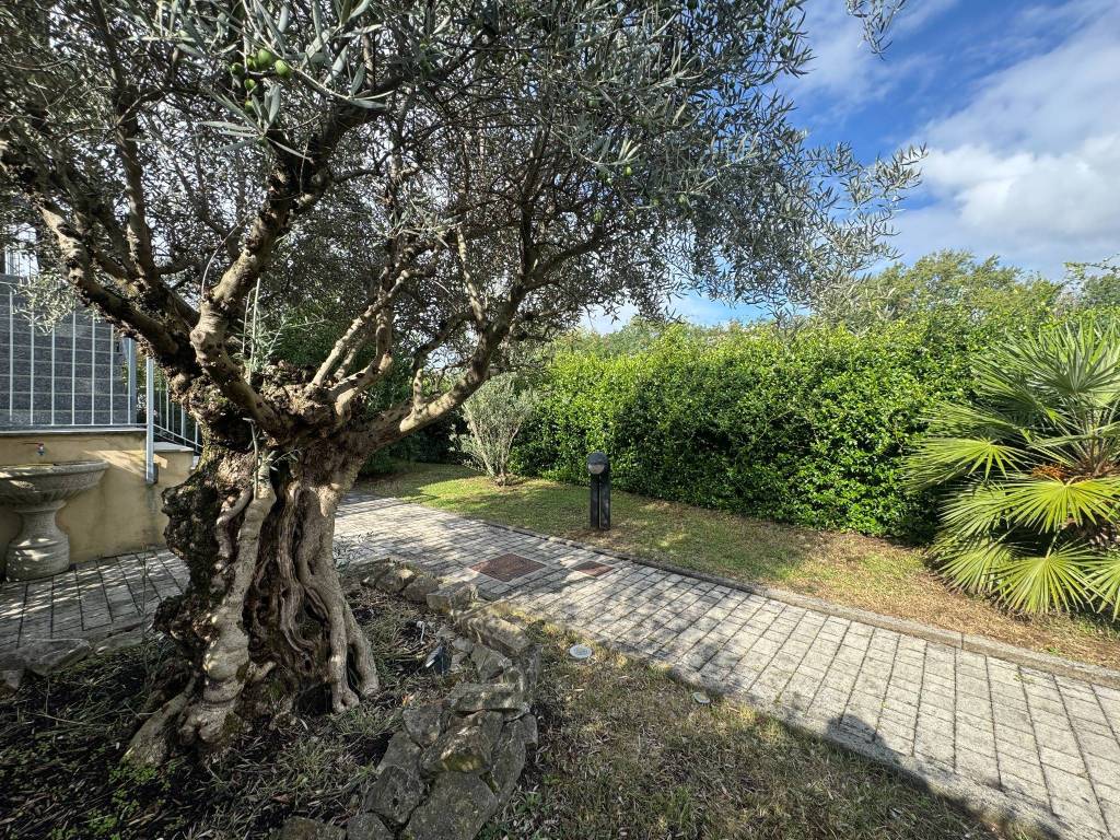 Trilocale a Dalmine - cod. 3856