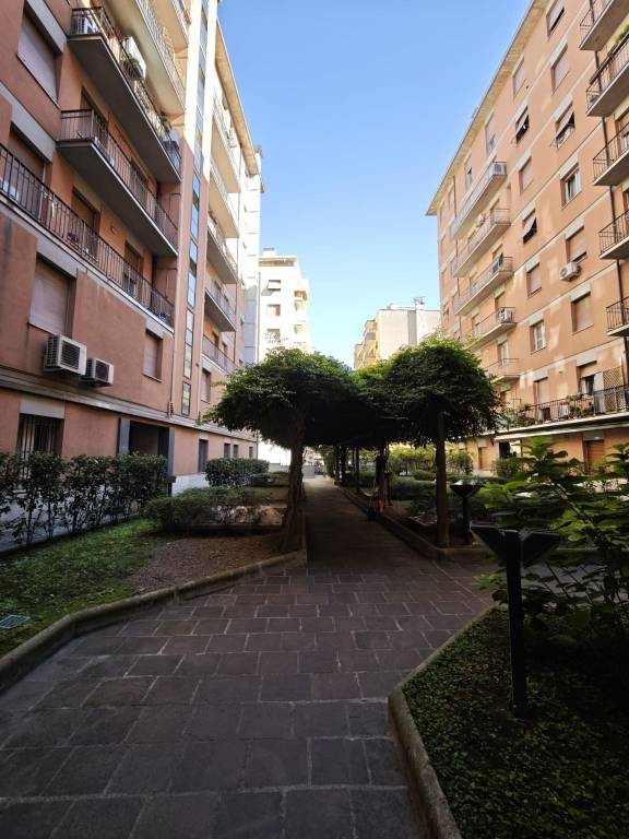 Immagine 8 Annuncio 193774155