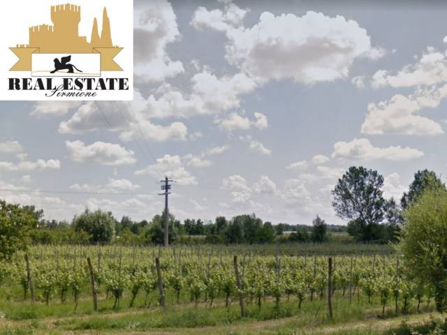 Vigneto Nel Cuore Del Lugana Doc