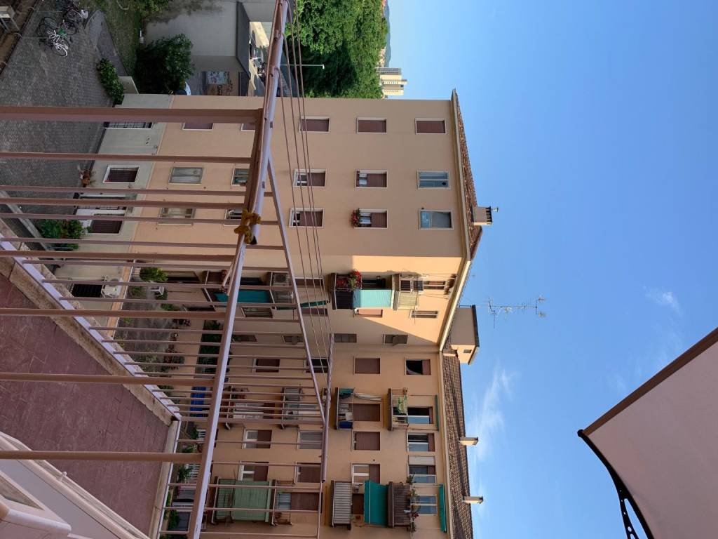 Immagine 9 Annuncio 193601974