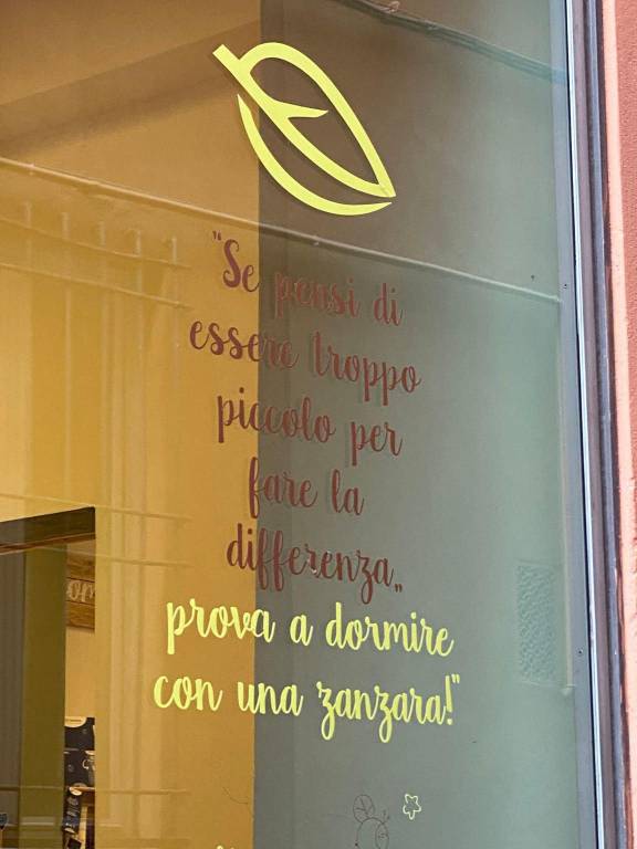 Immagine 11 Annuncio 187916141