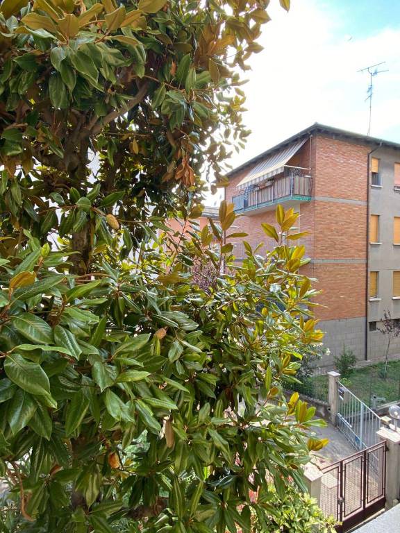 Immagine 14 Annuncio 187916141